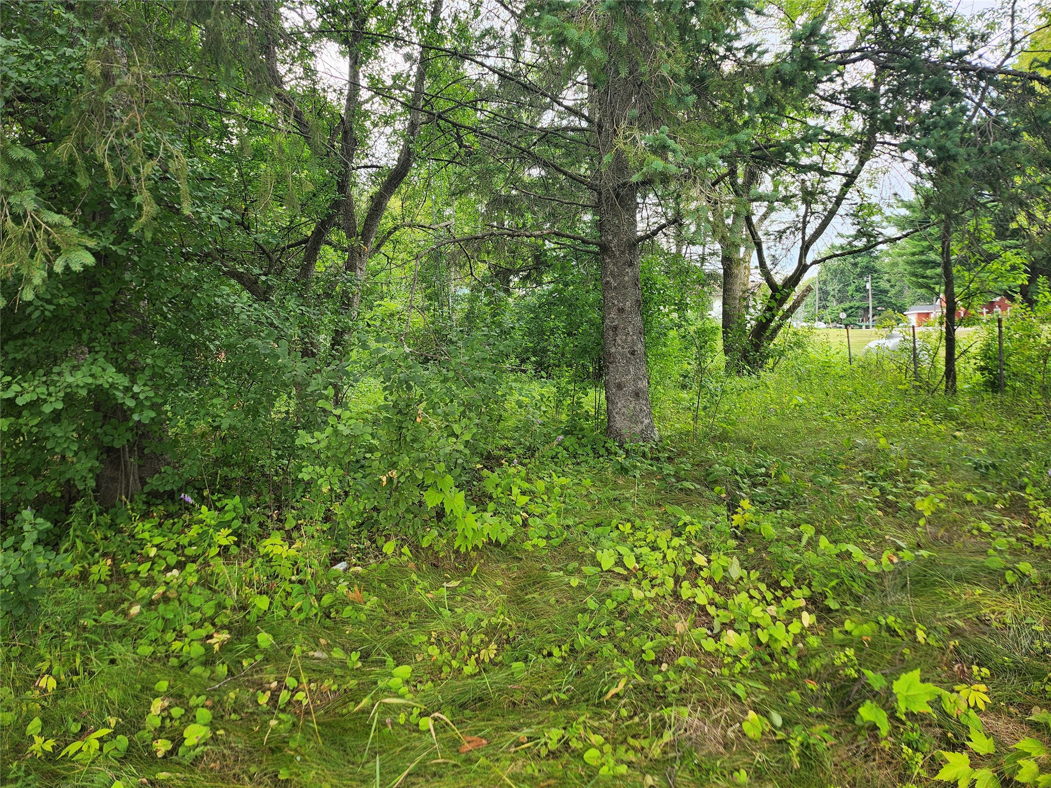 Lot 4 & 5 Main St Street Birchwood WI 54817 1603574 image2