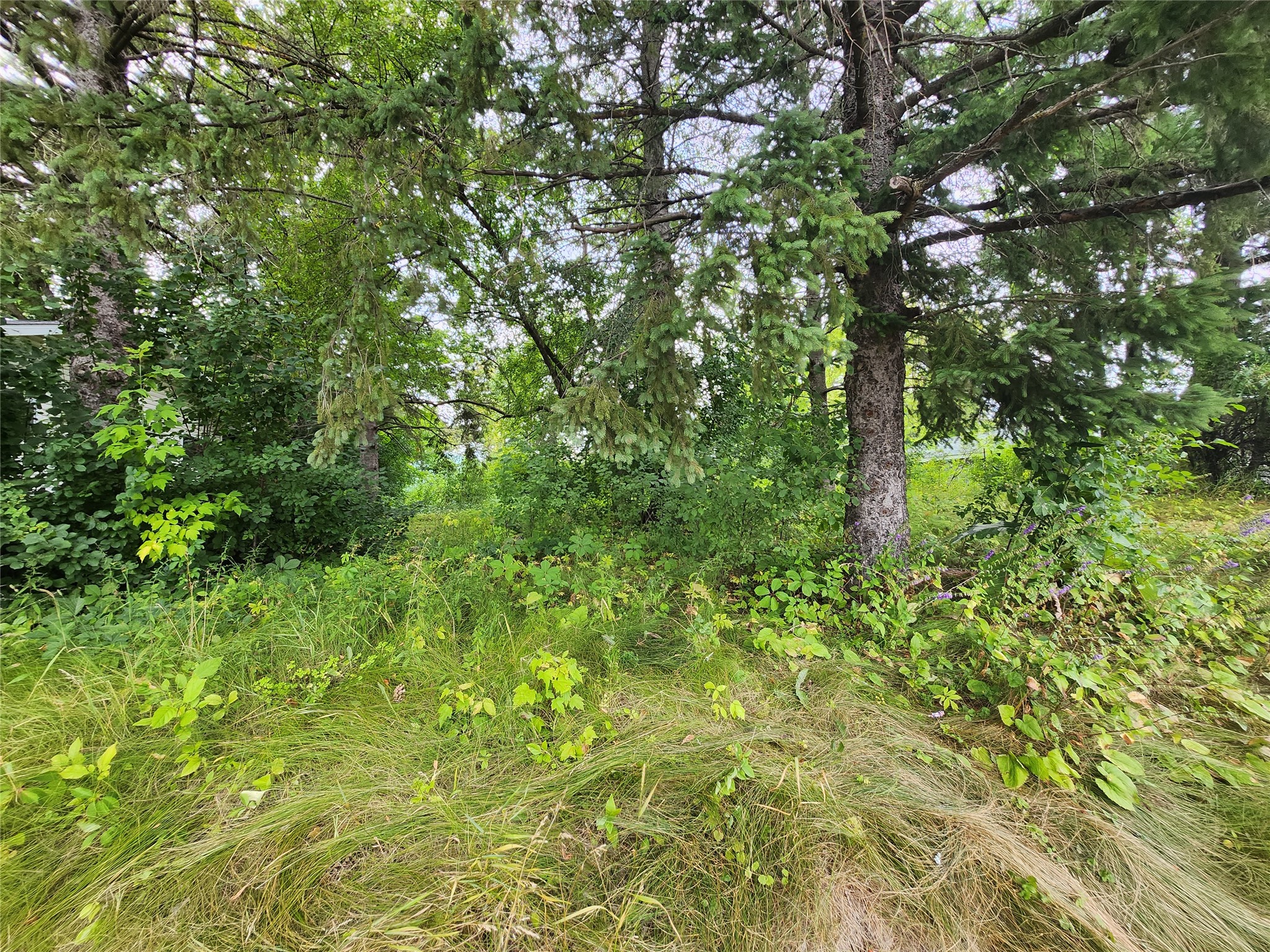 Lot 4 & 5 Main St Street Birchwood WI 54817 1603574 image3