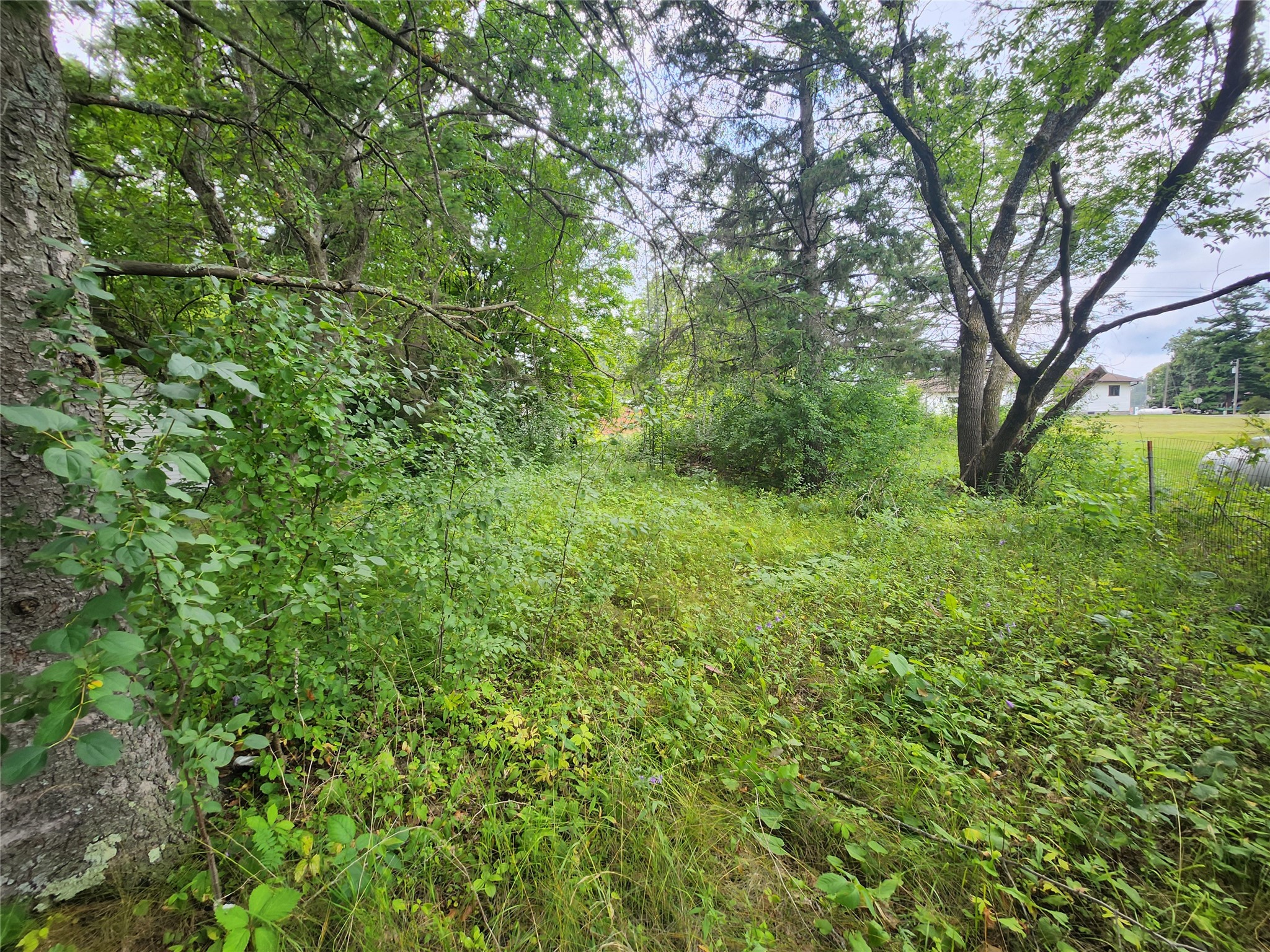 Lot 4 & 5 Main St Street Birchwood WI 54817 1603574 image4