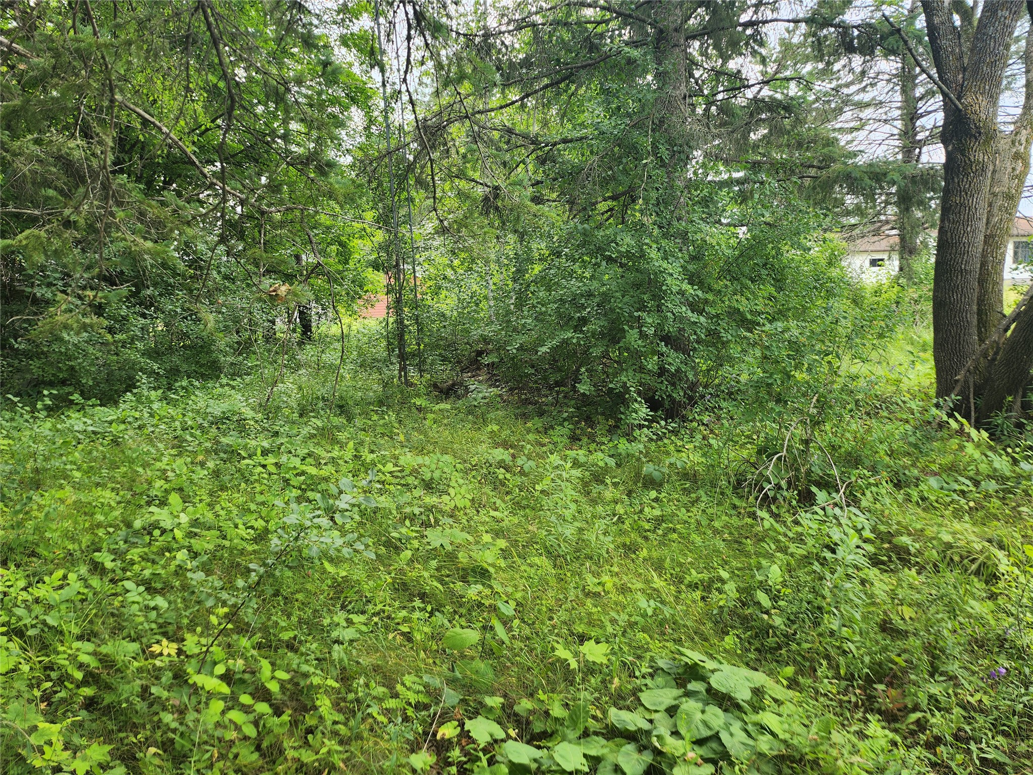 Lot 4 & 5 Main St Street Birchwood WI 54817 1603574 image5