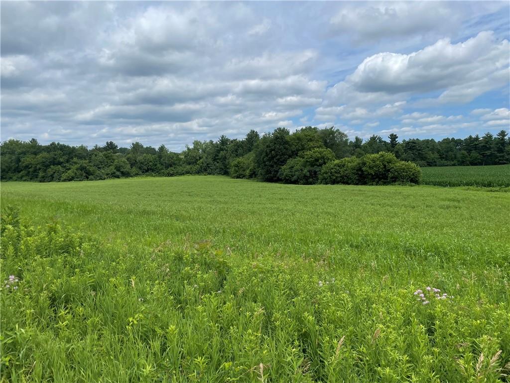 Lot 4 530th Avenue Menomonie WI 54751 1572935 image1
