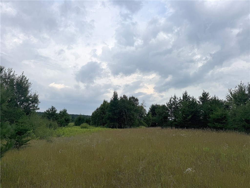 Lot 4 - 6580 W Barrett Road Trego WI 54888 1588875 image1