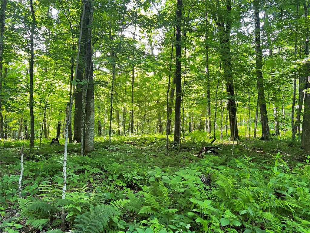 Lot 4 Balsam Drive Birchwood WI 54817 - Balsam/Red Cedar/Hemlock 1592993 image10