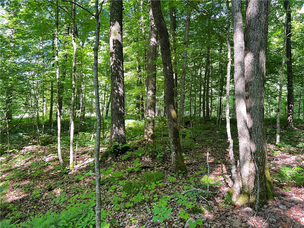 Lot 4 Balsam Drive Birchwood WI 54817 - Balsam/Red Cedar/Hemlock 1592993 image11