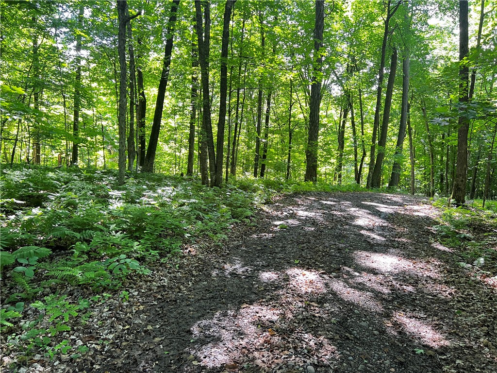 Lot 4 Balsam Drive Birchwood WI 54817 - Balsam/Red Cedar/Hemlock 1592993 image12