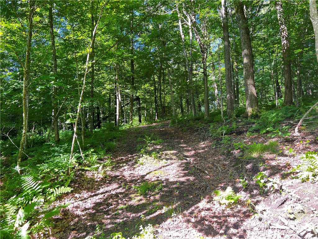 Lot 4 Balsam Drive Birchwood WI 54817 - Balsam/Red Cedar/Hemlock 1592993 image13
