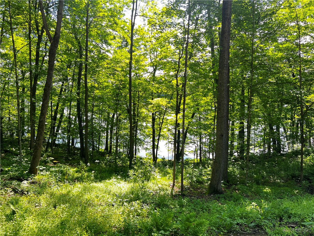 Lot 4 Balsam Drive Birchwood WI 54817 - Balsam/Red Cedar/Hemlock 1592993 image15