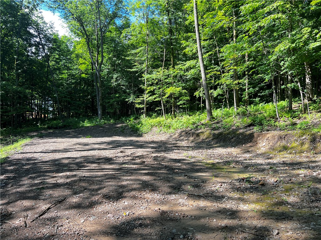 Lot 4 Balsam Drive Birchwood WI 54817 - Balsam/Red Cedar/Hemlock 1592993 image16
