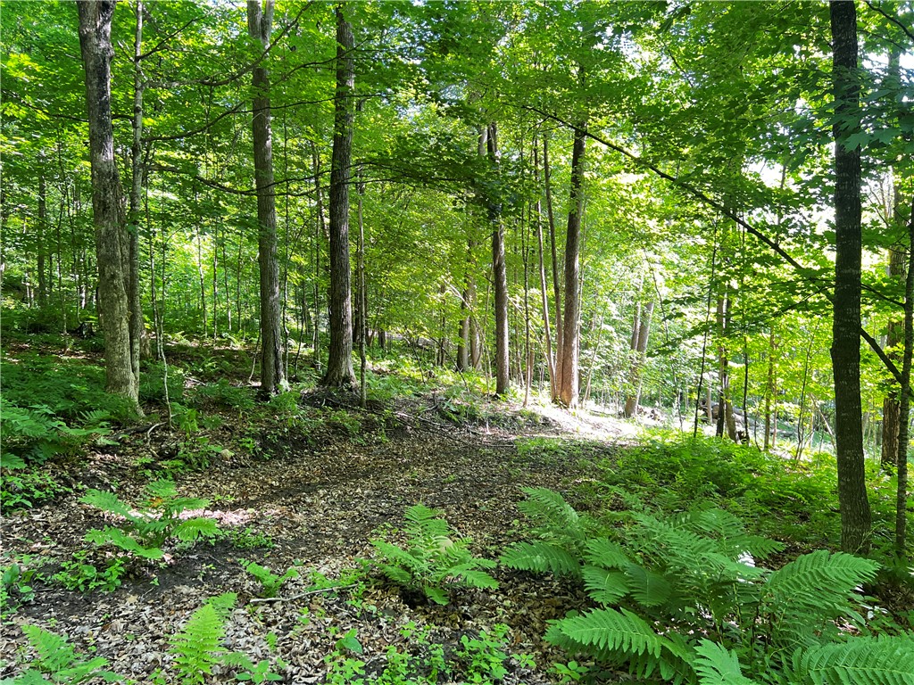 Lot 4 Balsam Drive Birchwood WI 54817 - Balsam/Red Cedar/Hemlock 1592993 image18