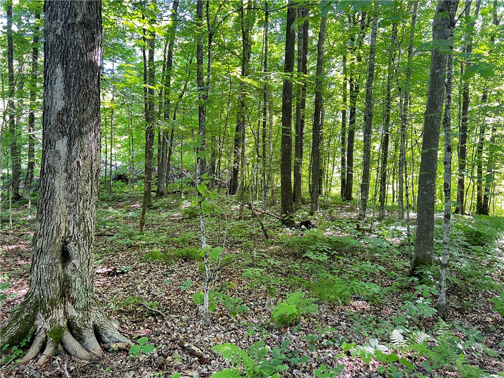 Lot 4 Balsam Drive Birchwood WI 54817 - Balsam/Red Cedar/Hemlock 1592993 image4