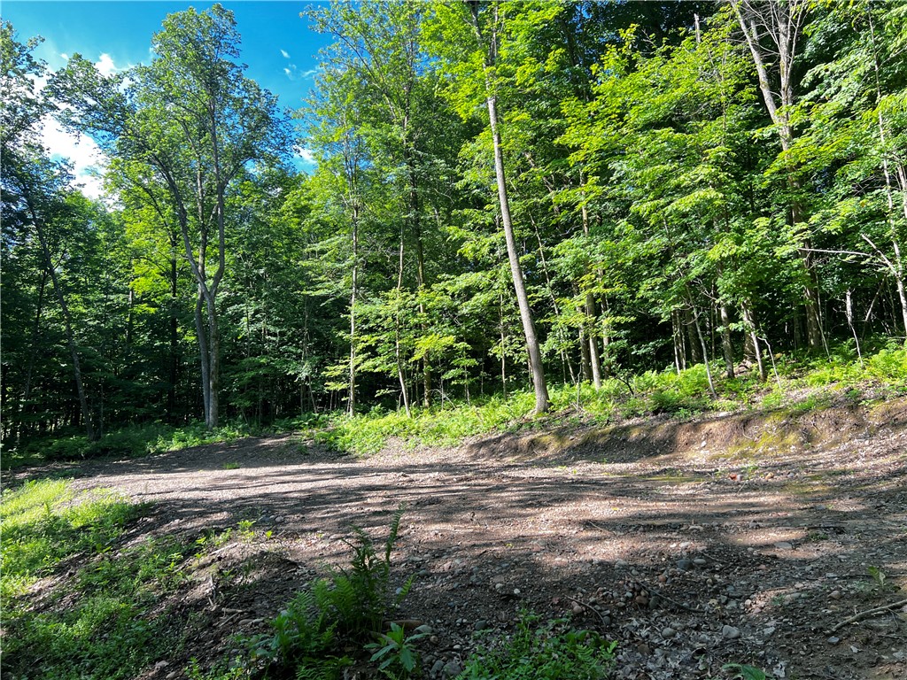 Lot 4 Balsam Drive Birchwood WI 54817 - Balsam/Red Cedar/Hemlock 1592993 image9