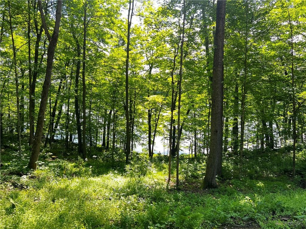 Lot 4 Balsam Drive Birchwood WI 54817 - Balsam/Red Cedar/Hemlock 1598889 image22
