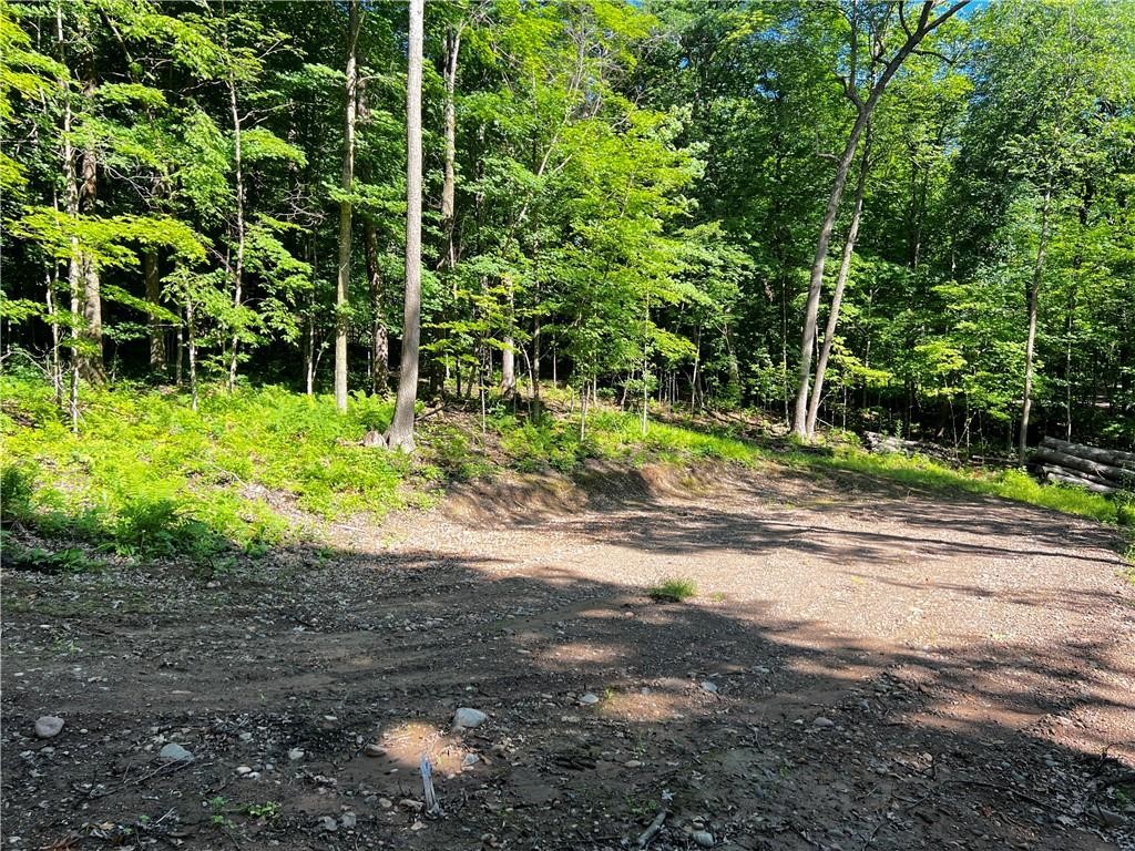 Lot 4 Balsam Drive Birchwood WI 54817 - Balsam/Red Cedar/Hemlock 1598889 image25