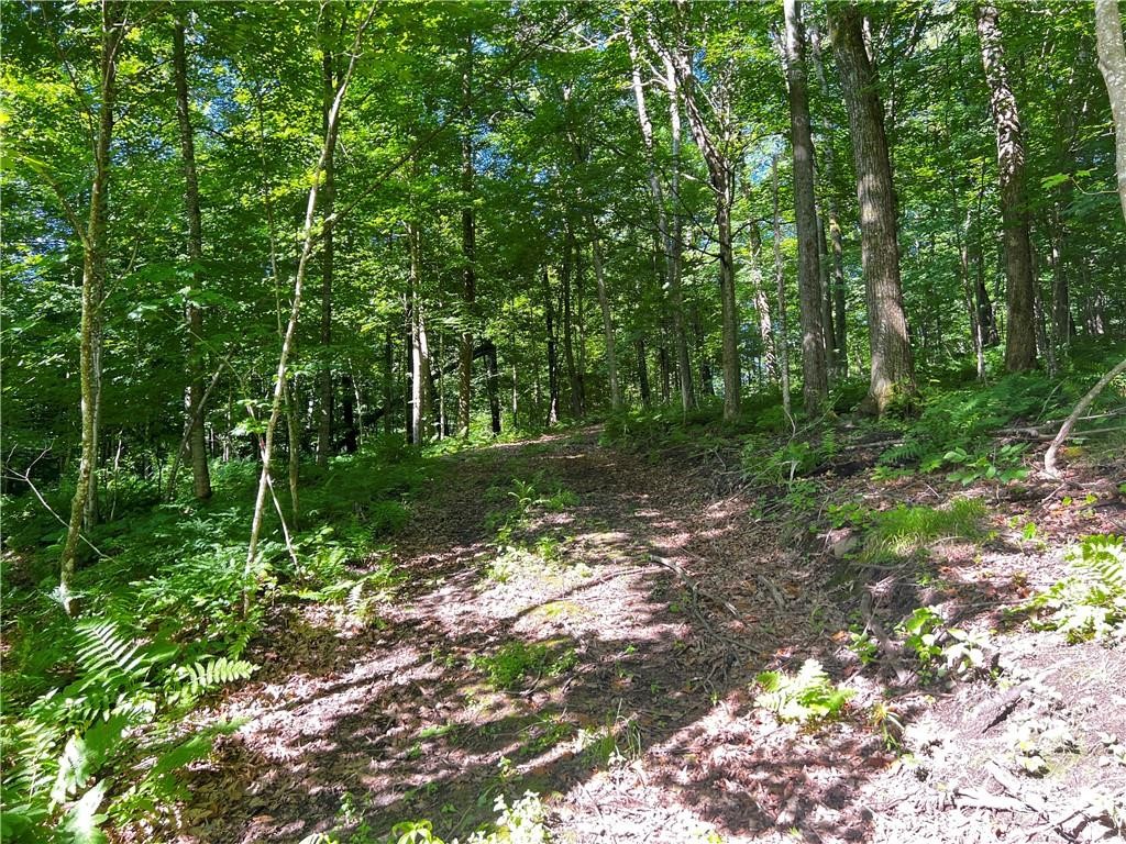 Lot 4 Balsam Drive Birchwood WI 54817 - Balsam/Red Cedar/Hemlock 1598889 image27