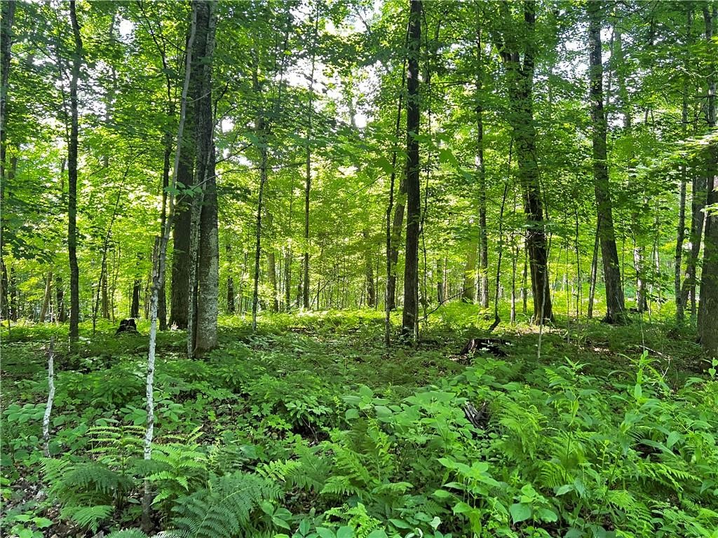 Lot 4 Balsam Drive Birchwood WI 54817 - Balsam/Red Cedar/Hemlock 1598889 image29