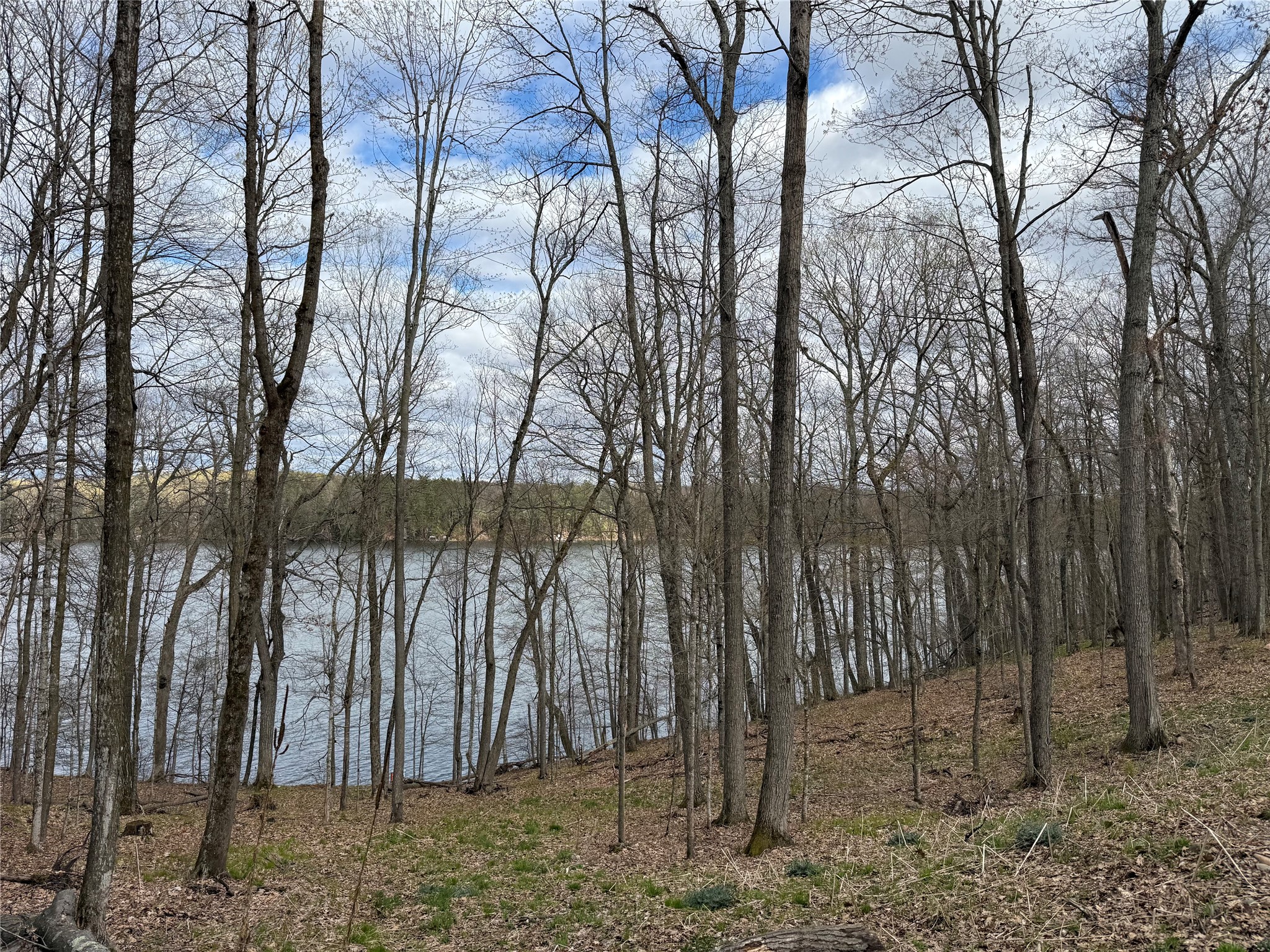 Lot 4 Balsam Drive Birchwood WI 54817 - Balsam/Red Cedar/Hemlock 1598889 image3