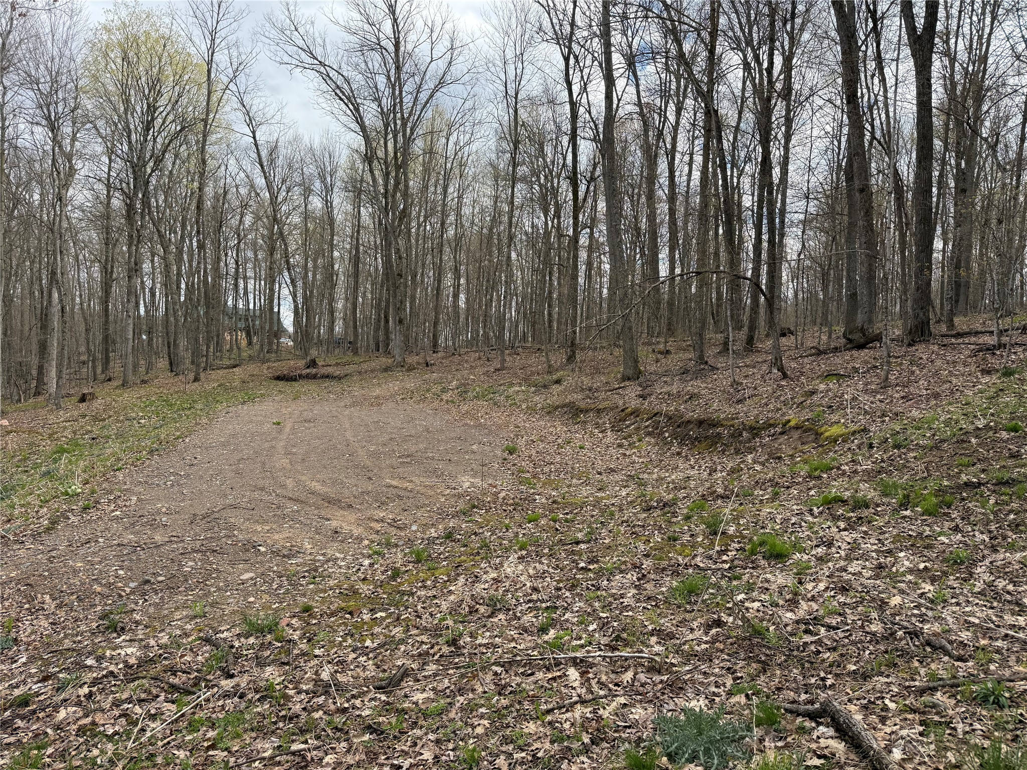 Lot 4 Balsam Drive Birchwood WI 54817 - Balsam/Red Cedar/Hemlock 1598889 image4