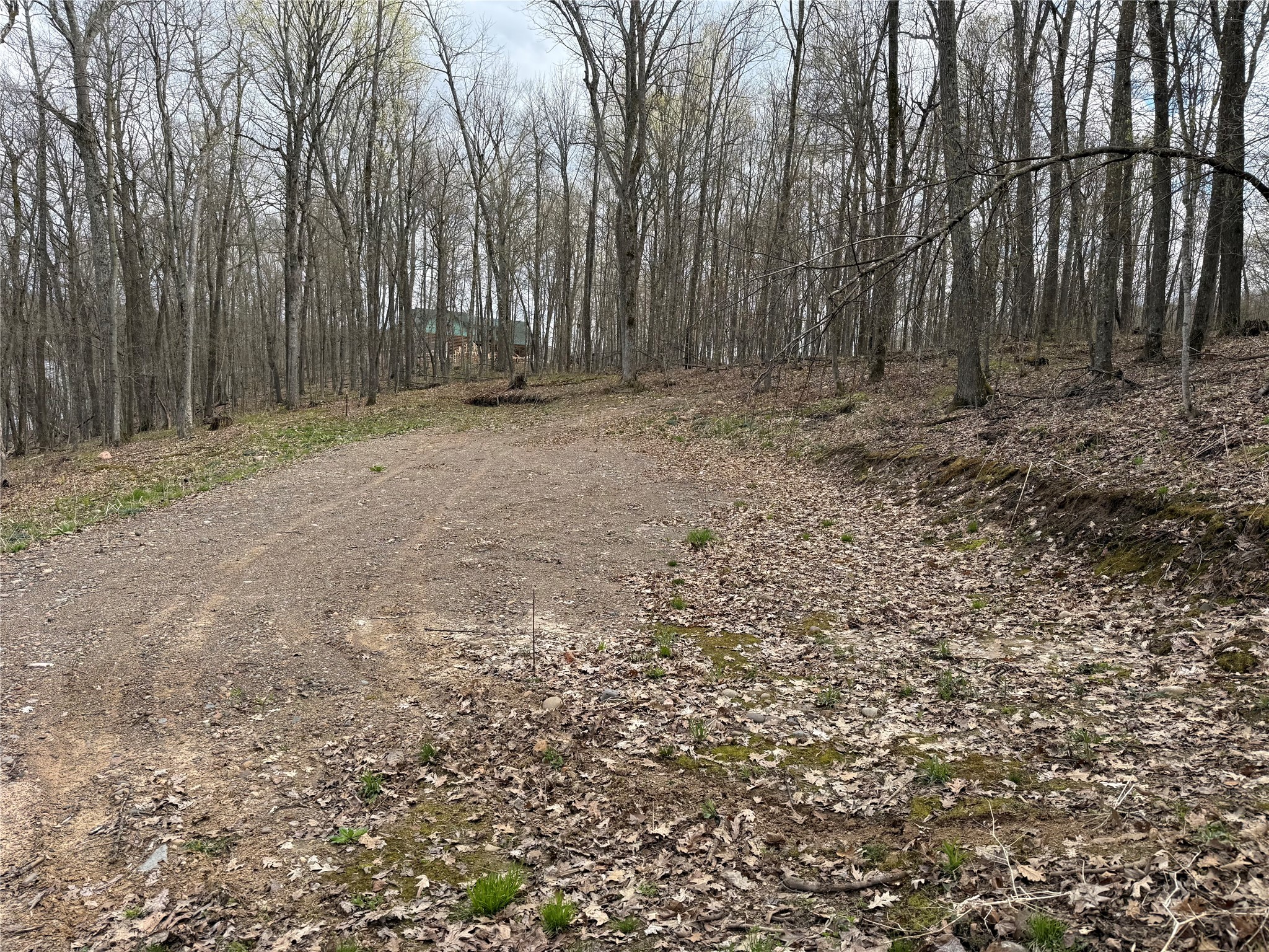 Lot 4 Balsam Drive Birchwood WI 54817 - Balsam/Red Cedar/Hemlock 1598889 image5