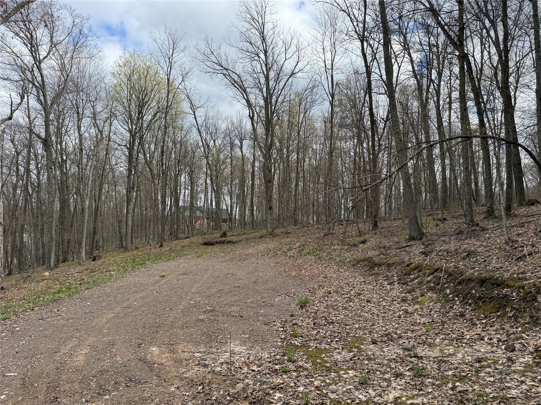 Lot 4 Balsam Drive Birchwood WI 54817 - Balsam/Red Cedar/Hemlock 1598889 image6