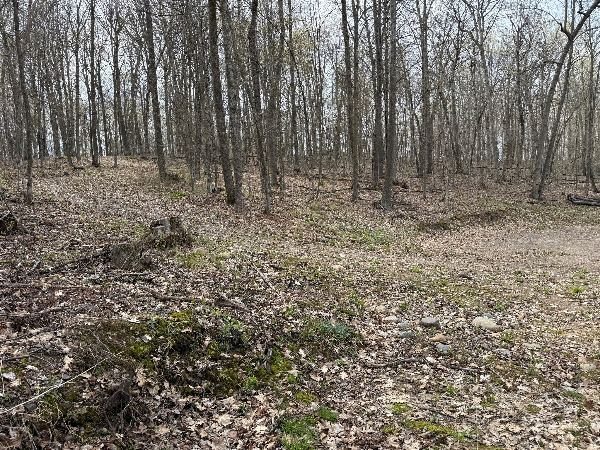 Lot 4 Balsam Drive Birchwood WI 54817 - Balsam/Red Cedar/Hemlock 1598889 image8