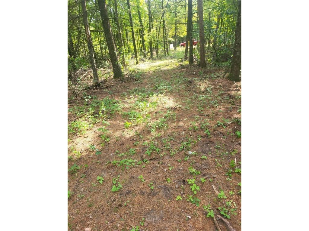 Lot 4 Betty Lane Black River Falls WI 54615 - Black Lake 1595412 image1
