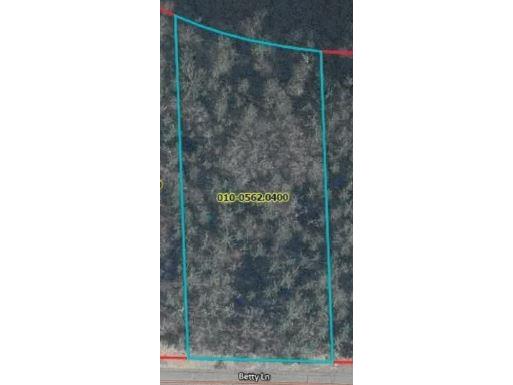 Lot 4 Betty Lane Black River Falls WI 54615 - Black Lake 1595412 image2