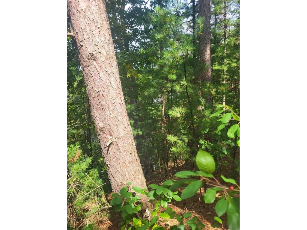 Lot 4 Betty Lane Black River Falls WI 54615 - Black Lake 1595412 image3