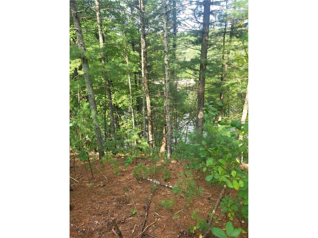Lot 4 Betty Lane Black River Falls WI 54615 - Black Lake 1595412 image4