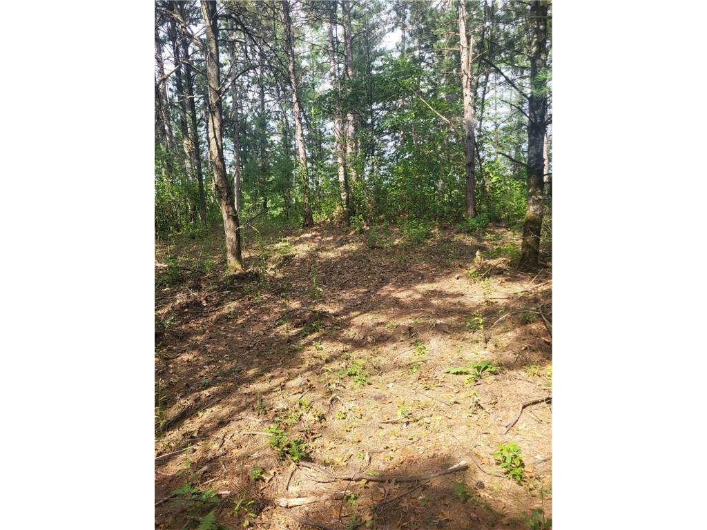 Lot 4 Betty Lane Black River Falls WI 54615 - Black Lake 1595412 image5