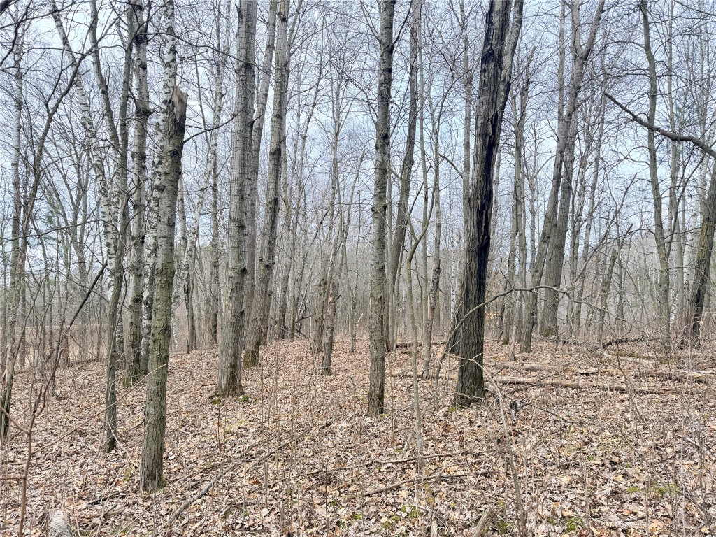 Lot 4 Big Lake Drive Osceola WI 54020 - 36-14 1599898 image10