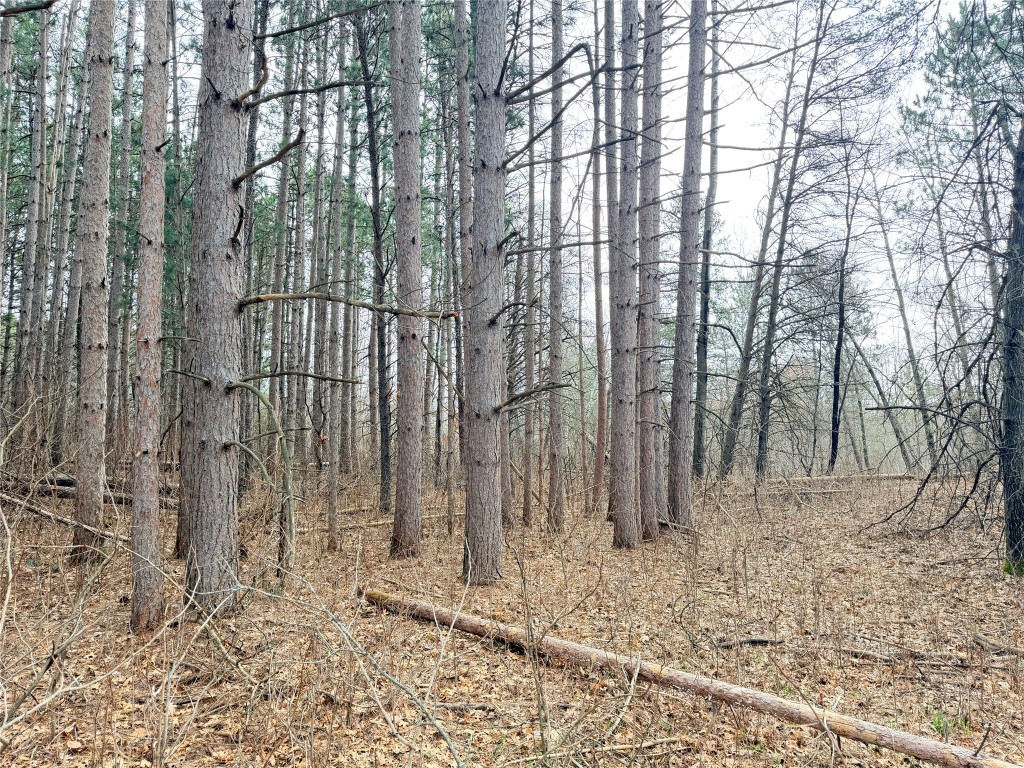 Lot 4 Big Lake Drive Osceola WI 54020 - 36-14 1599898 image11
