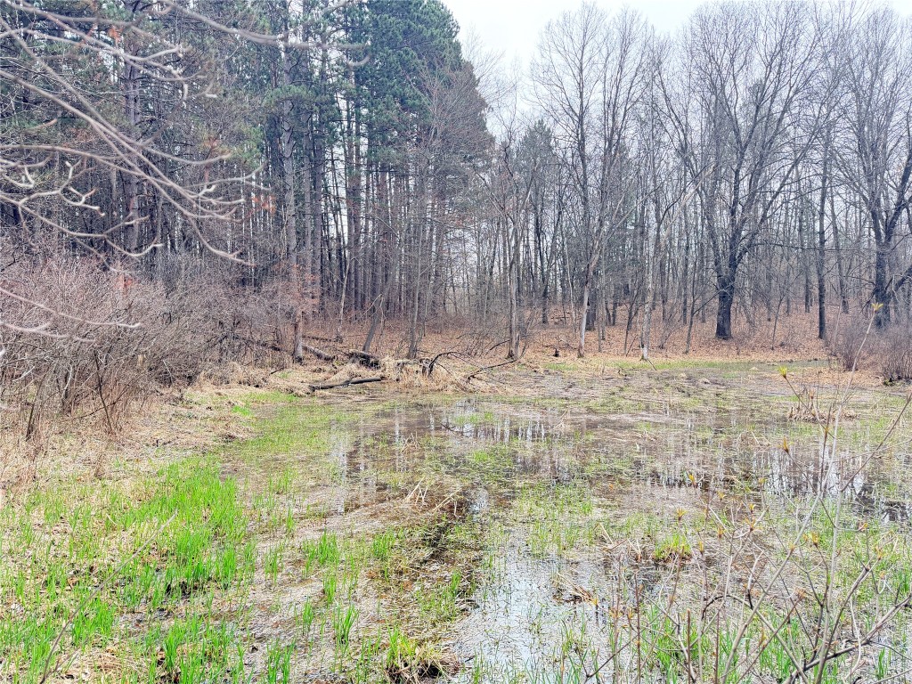 Lot 4 Big Lake Drive Osceola WI 54020 - 36-14 1599898 image12