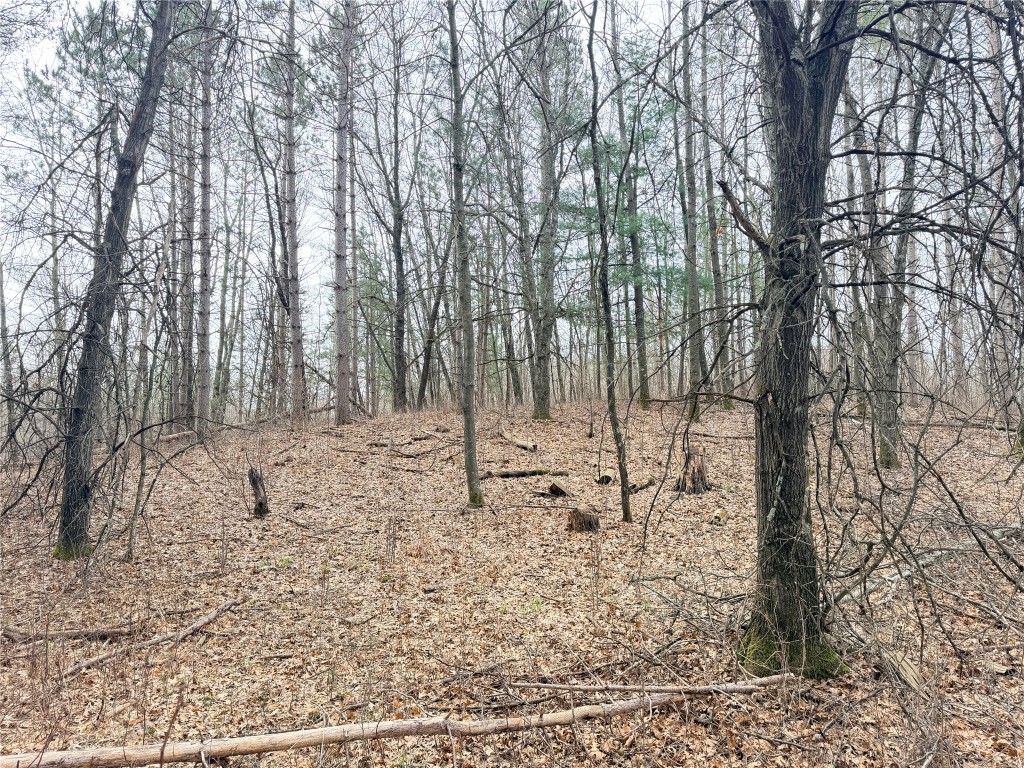 Lot 4 Big Lake Drive Osceola WI 54020 - 36-14 1599898 image13