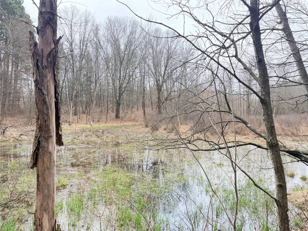Lot 4 Big Lake Drive Osceola WI 54020 - 36-14 1599898 image14