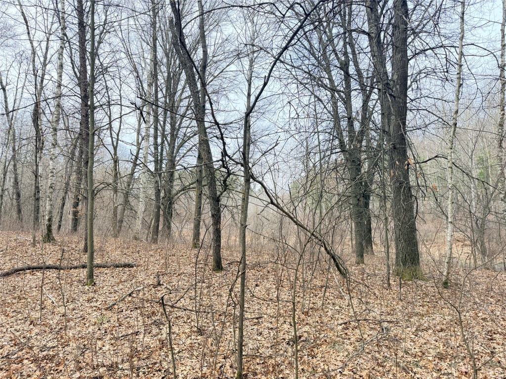 Lot 4 Big Lake Drive Osceola WI 54020 - 36-14 1599898 image15