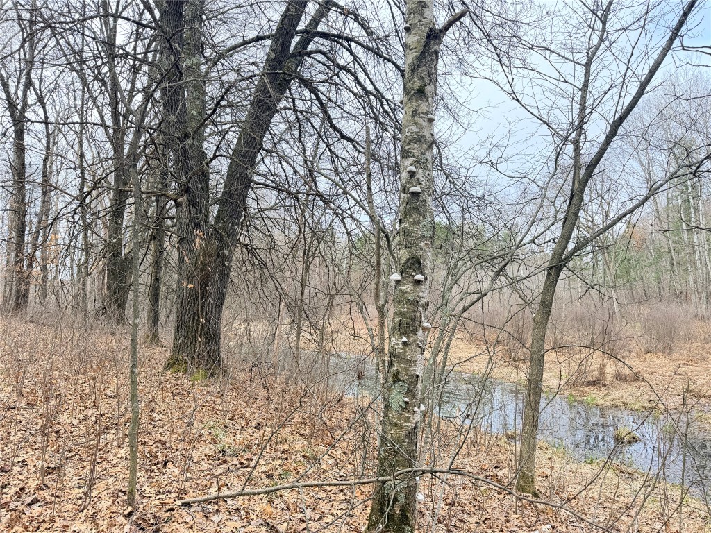 Lot 4 Big Lake Drive Osceola WI 54020 - 36-14 1599898 image16