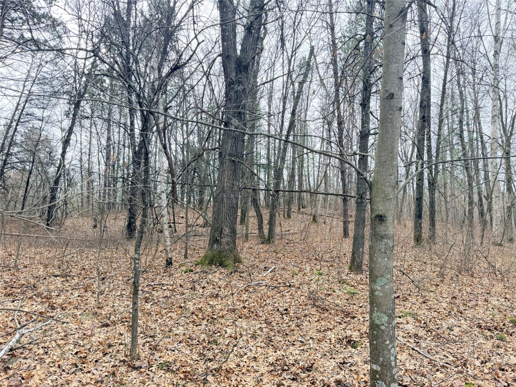 Lot 4 Big Lake Drive Osceola WI 54020 - 36-14 1599898 image17