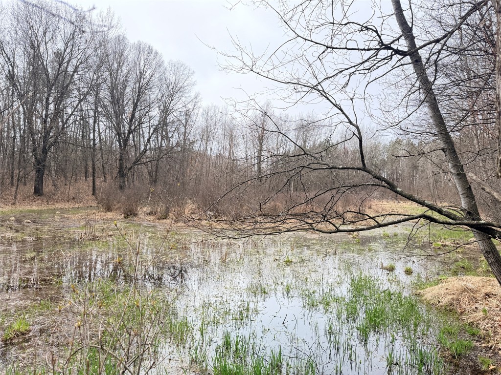 Lot 4 Big Lake Drive Osceola WI 54020 - 36-14 1599898 image18