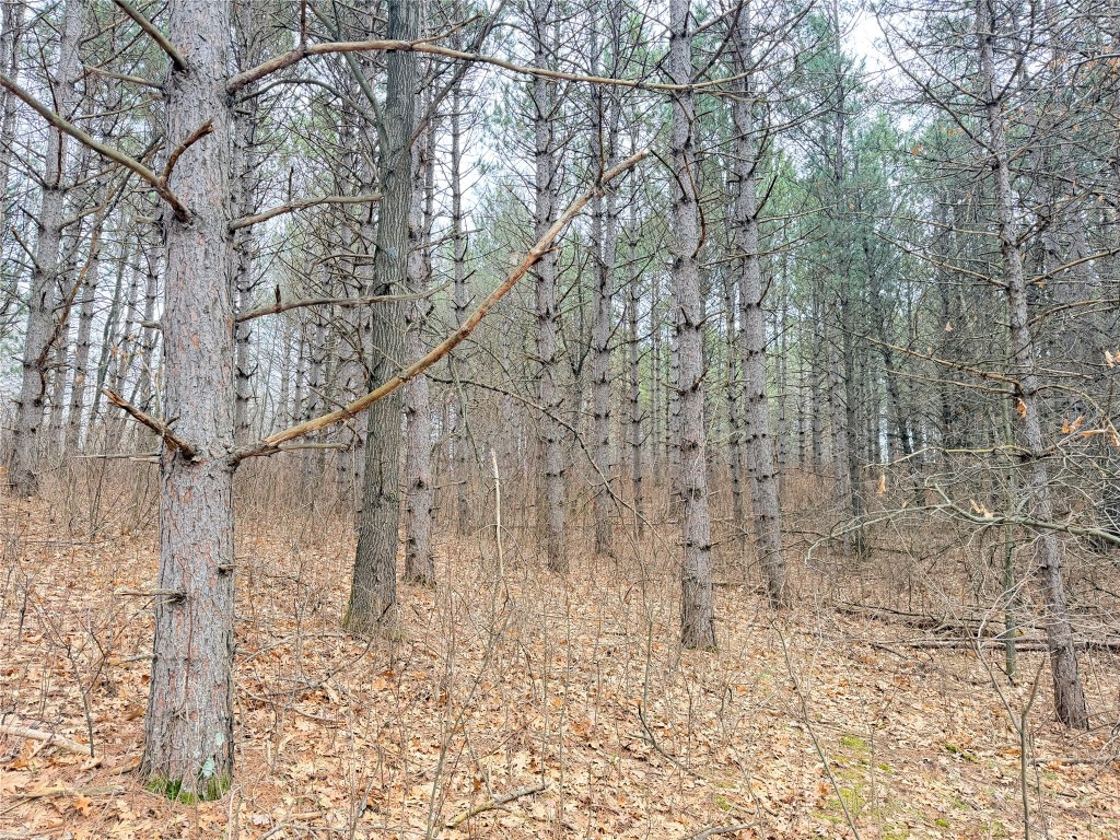 Lot 4 Big Lake Drive Osceola WI 54020 - 36-14 1599898 image19