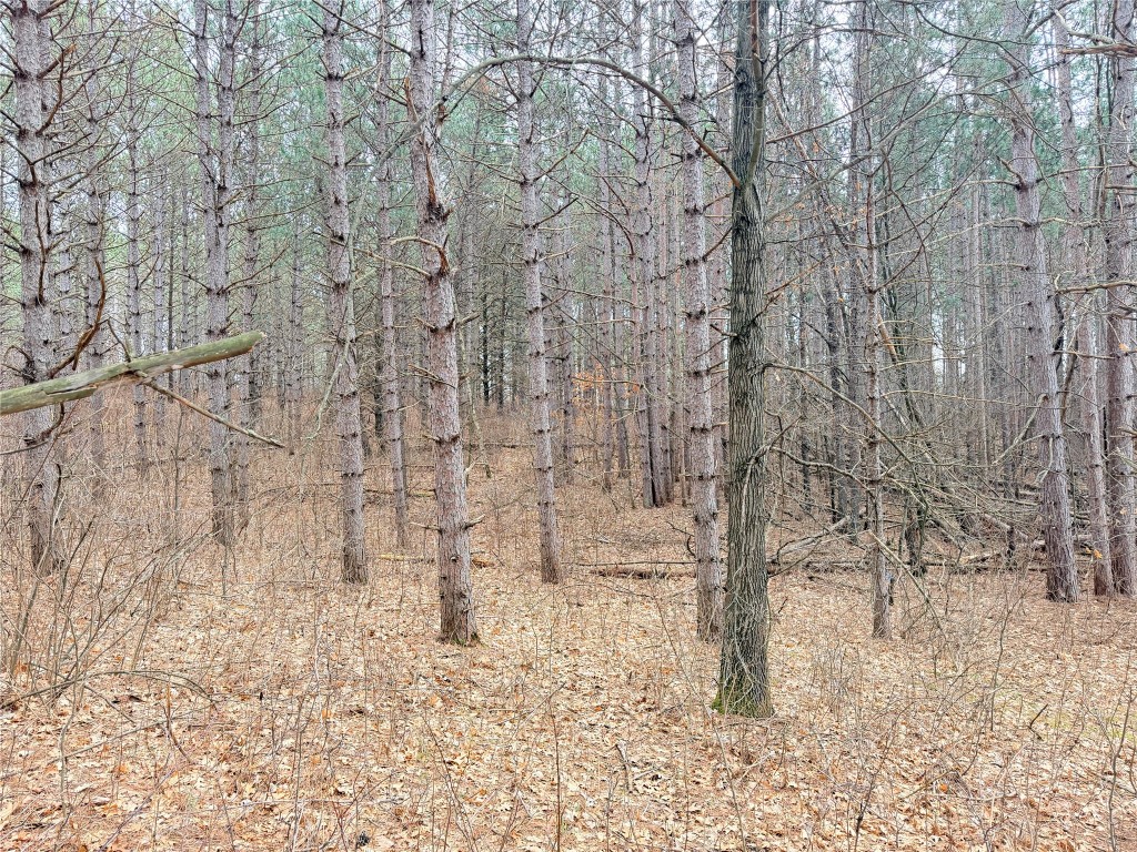 Lot 4 Big Lake Drive Osceola WI 54020 - 36-14 1599898 image20