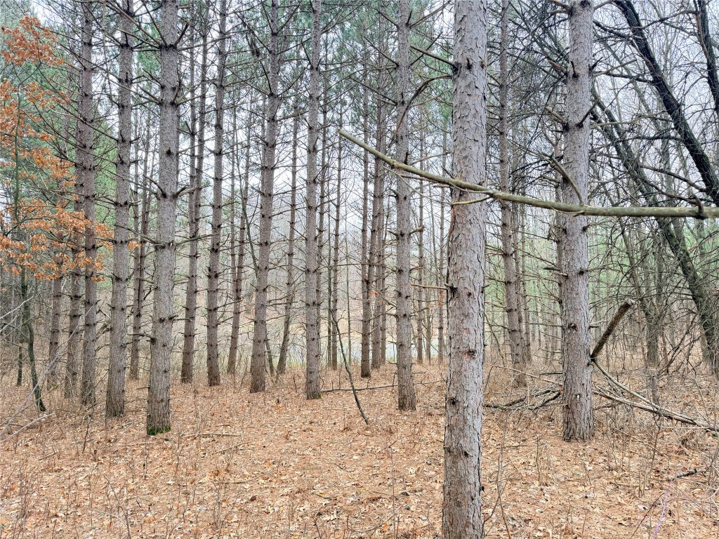 Lot 4 Big Lake Drive Osceola WI 54020 - 36-14 1599898 image4