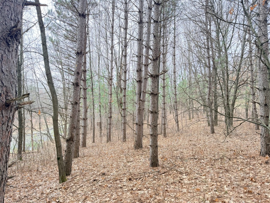 Lot 4 Big Lake Drive Osceola WI 54020 - 36-14 1599898 image6