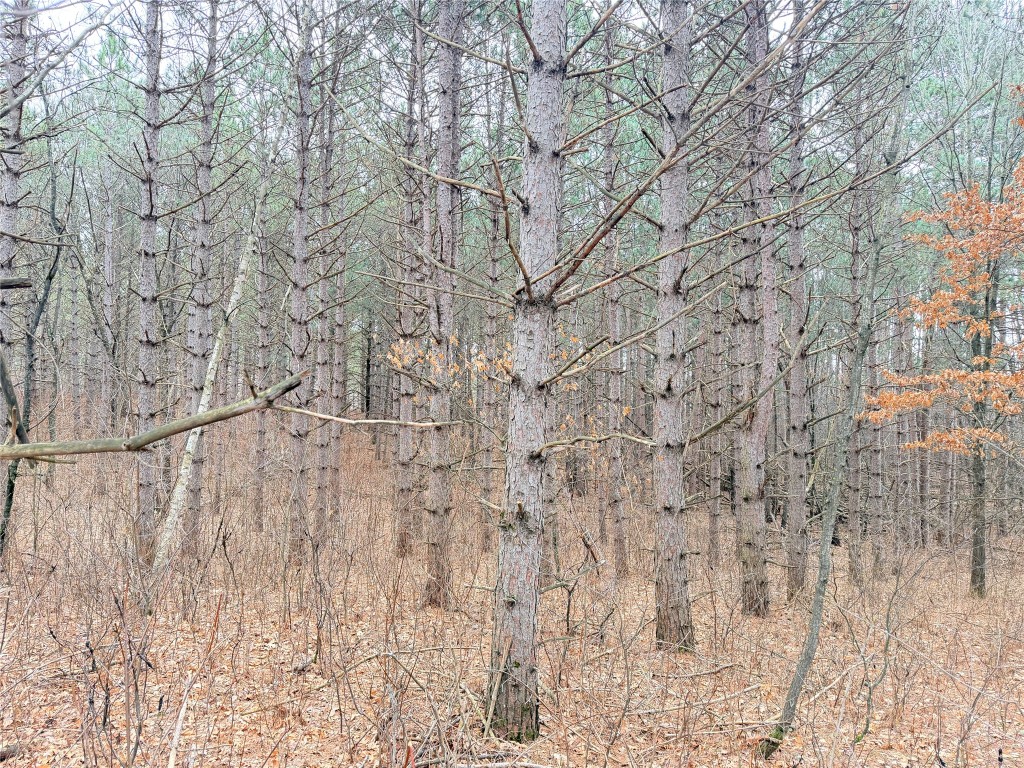Lot 4 Big Lake Drive Osceola WI 54020 - 36-14 1599898 image8
