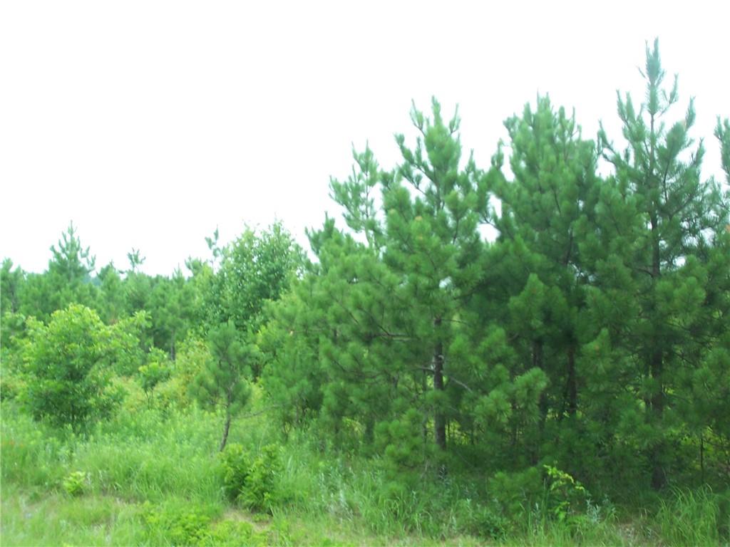 Lot 4 Black Brook Road Webster WI 54893 1560329 image1