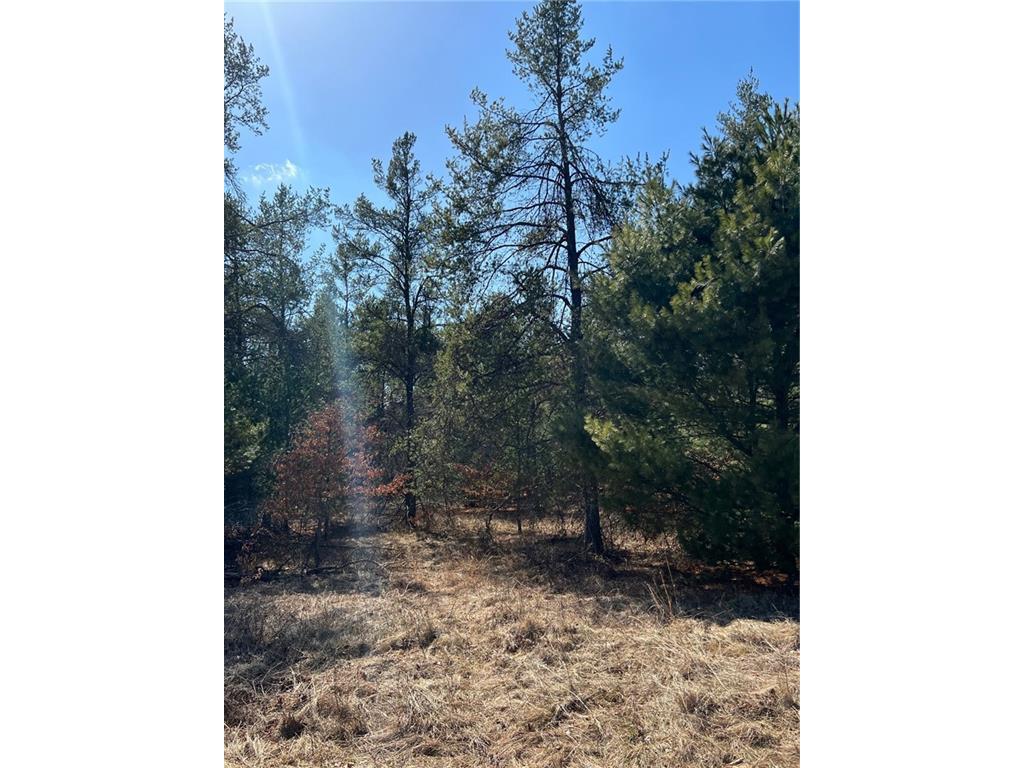 Lot 4 Black Creek Road Fairchild WI 54741 1563492 image1