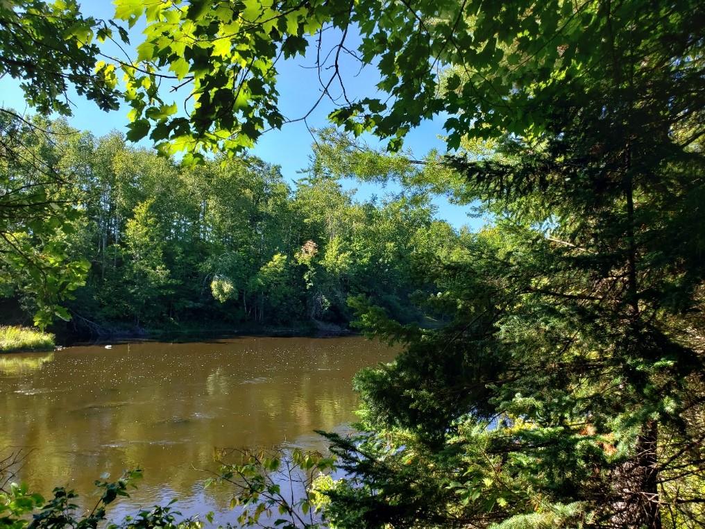 Lot #4 Border Line Lane Radisson WI 54867 - Chippewa 1576798 image1