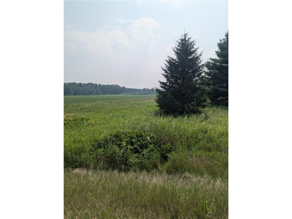 Lot 4 County Highway W Holcombe WI 54745 1589128 image1