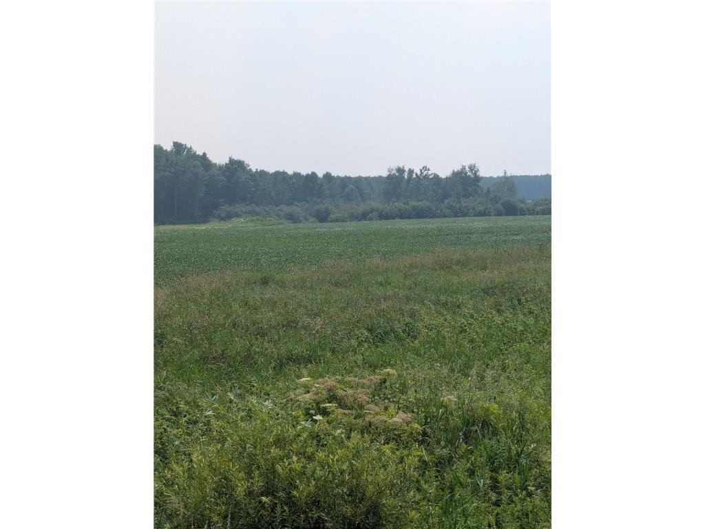 Lot 4 County Highway W Holcombe WI 54745 1589128 image3