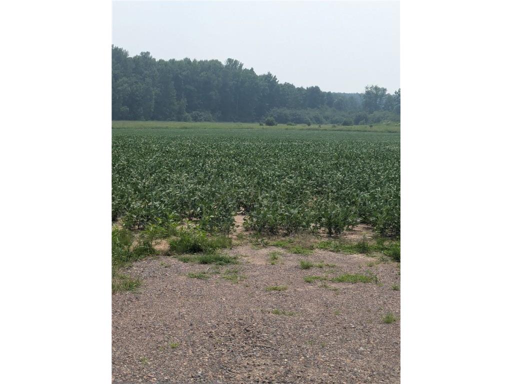 Lot 4 County Highway W Holcombe WI 54745 1589128 image5