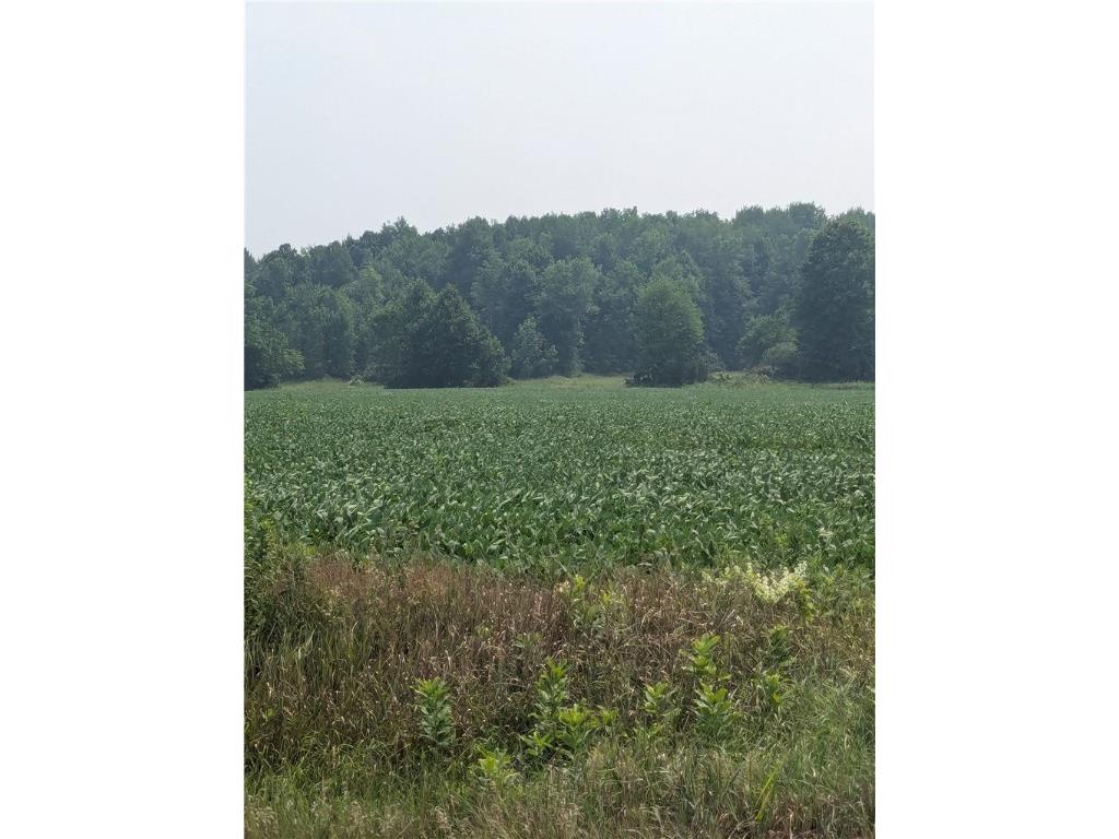 Lot 4 County Highway W Holcombe WI 54745 1589128 image6
